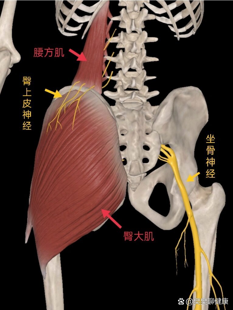 铁腰板治疗仪有没有效果? - quot; href="https://www.veer.com/photo/168194845?utm_source=baidu&utm_medium=imagesearch&chid=902
